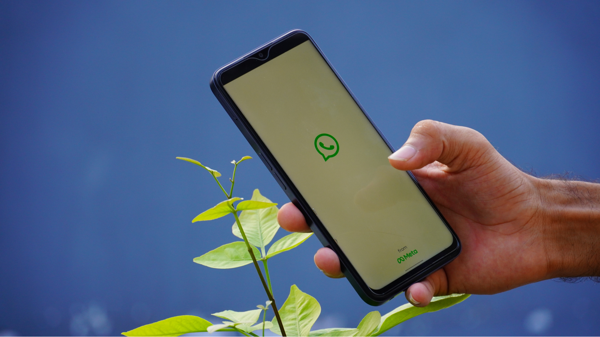 Imagen de portada para WhatsApp Marketing en Salud: Comunicación que los Pacientes Abren y Responden